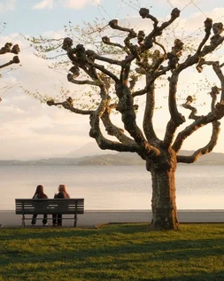 How to Come Out of Emotional Attachment: A Gentle Guide to Letting Go