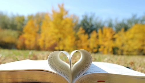 The Attraction Secret Nobody Tells You How Curiosity Makes You Magnetic